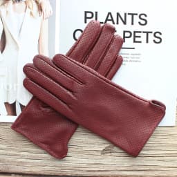 New Women's Fashionable Sheepskin Gloves Color Mesh Breathable Fashion Short Genuine Leather Gloves