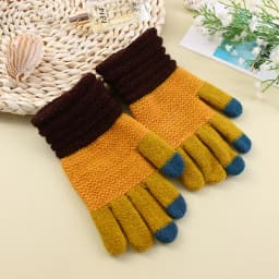 Autumn and Winter Women's Knitted Winter Gloves Cashmere Knitted Women's Warm Thick Gloves Touch Screen Ski Gloves