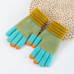 Autumn and Winter Women's Knitted Winter Gloves Cashmere Knitted Women's Warm Thick Gloves Touch Screen Ski Gloves