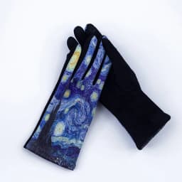 Oil Painting Touch Screen Driving Mittens Women's Winter Suede Leather Motorcycle Gloves Ourdoor Warm Sport Ski Cycling Glove