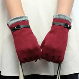 New Fashion Grace Lady Gloves Women Winter Vintage Bow-Knot Touch Screen Driving Warm Windproof Glove Mittens Wholesale G073