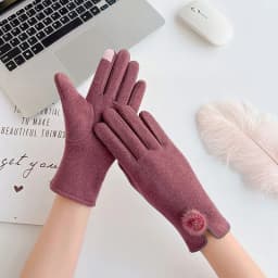 New Fashion Grace Lady Gloves Women Winter Vintage Bow-Knot Touch Screen Driving Warm Windproof Glove Mittens Wholesale G073