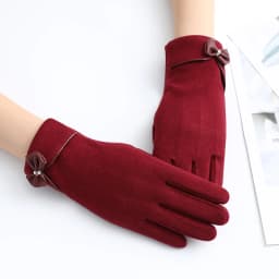 New Fashion Grace Lady Gloves Women Winter Vintage Bow-Knot Touch Screen Driving Warm Windproof Glove Mittens Wholesale G073