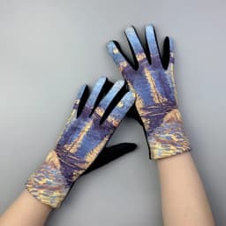 Winter Warm Van Gogh Oil Painting Gloves Fashion Retro Opera Performance Women Cycling Drive Touch Screen Full Finger Thicken