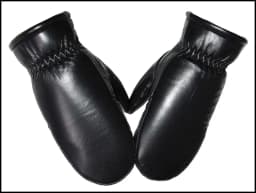 Mittens Ladies Leather Sheepskin Gloves Real Wool Winter Warm Fur Gloves Thickened Female Leather and Wool Integrated Gloveswind