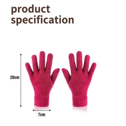 Women Winter Thickening Cold-proof Outdoor Cycling Warm Touch Screen Knitted Woolen Gloves Fashion Solid Color Student