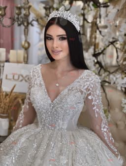 Customzied V-neck Long-sleeved Ball Gown Splendid Wedding Dress Vestidos De Novia Amanda Novias Amanda Novias Official