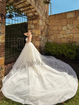 Paloda Delicate Wedding Dress for Women with Appliques Mermaid Sleeveless Sweetheart Vestidos De Novia Brautmode Customized