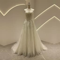 SL-9525 Customized SuLi Romantic Strapless Bride Wedding Dress Lace Appliques Beading Bohemian See Through Beach Bridal Gown
