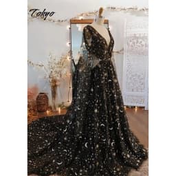 Tokyo Customized Black V-Neckline Wedding Dresses Long Sleeve Backless A-Line Bridal Gowns Court Train Elegant Wedding Gowns