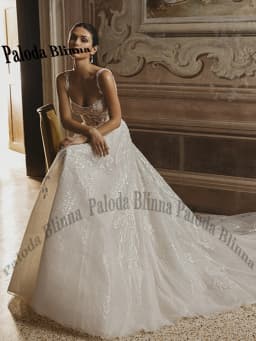 Paloda Luxury A-line Wedding Dresses for Bridal Spaghetti Straps Sweep Train Backless Lace Appliques Robe De Mariee Customized