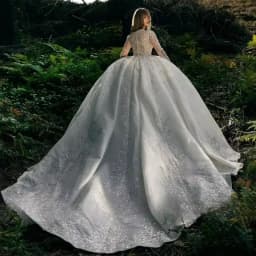 Customized Gorgeous Luxury Wedding Dresses Women Long Sleeve Appliques Sweetheart Ball Gowns Formal Bridal Dress Vestido