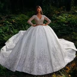 Customized Gorgeous Luxury Wedding Dresses Women Long Sleeve Appliques Sweetheart Ball Gowns Formal Bridal Dress Vestido