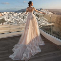Gorgeous Detachable 2 In 1 Wedding Dress Embroidered Lace On Net With Train Oneck Fullsleeve Vintage Bride Gown Vestido De Novia
