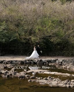 OLOEY Strapless Korea Princess Wedding Dresses 웨딩드레스 Organza Ivory Sleeveless Ruched Customized Pretty Bride Gowns Plus Size