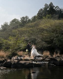 OLOEY Strapless Korea Princess Wedding Dresses 웨딩드레스 Organza Ivory Sleeveless Ruched Customized Pretty Bride Gowns Plus Size