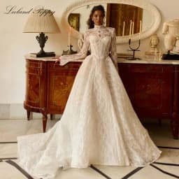 Lceland Poppy Customized Strapless A Line Lace Wedding Dresses Floor Length Illusion Bridal Gowns with Lace Jacket