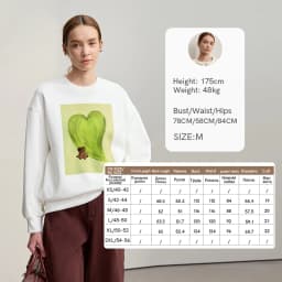 Amii Sweatshirt For Woman 2026 Winter New Printing Embroidered Casual Thick Crew Neck Long Sleeve Versatile Knit Tops 12524123