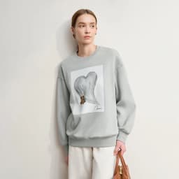 Amii Sweatshirt For Woman 2026 Winter New Printing Embroidered Casual Thick Crew Neck Long Sleeve Versatile Knit Tops 12524123