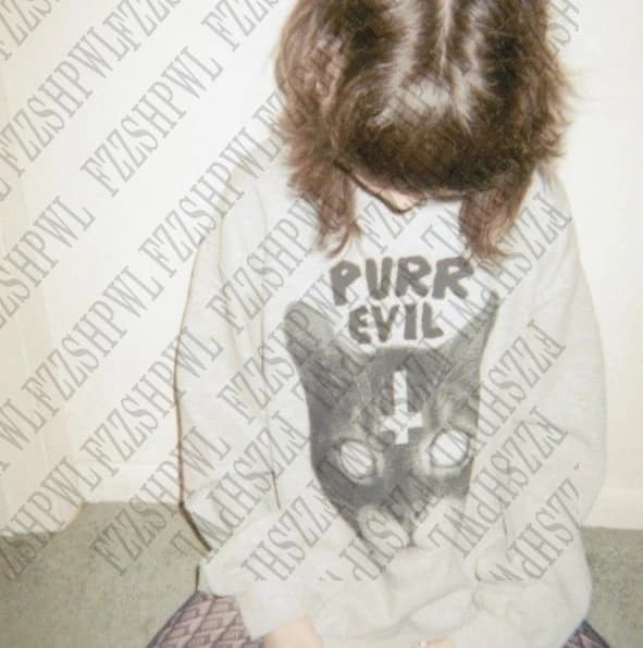 Retro Chic Casual Sweatshirt Classic Personality Bizarre Cat Print Pullover Fashion Winter High Street Hip Hop Y2K Punk Hoodie