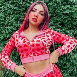 Women Pink Heart Print Velvet Crop Hoodies Zip Up Y2K Long Sleeve Cropped Sweatshirts Coat 90s E Girl Jacket Tracksuit