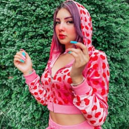 Women Pink Heart Print Velvet Crop Hoodies Zip Up Y2K Long Sleeve Cropped Sweatshirts Coat 90s E Girl Jacket Tracksuit