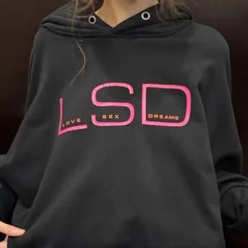 Y2k Trendy Rose Red Letters Hoodies Women Grunge Hip Hop Streetwear Sweatshirt Tops Retro American Oversized Hoodie Men Clothing