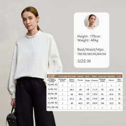 AMII Woman Sweatshirts 2025 Winter New Loose Thicken Stand-up Collar Sweatshirt For Woman Long Sleeve Warm Pullover Top 12544121