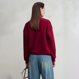 AMII Woman Sweatshirts 2025 Autumn New Minimalist Turtleneck Top Women Loose Knitted Christmas Cotton Female Sweatshirt 12544006