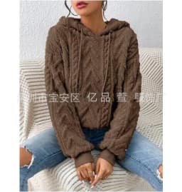 Autumn Warm Fleece Hooded Sweatshirts Casual Female Hoody Long Sleeve Soft Fluffy Pullover Coats Outwear FYY-1024