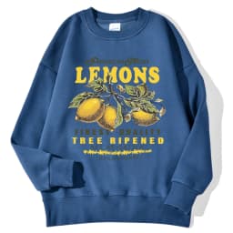 Lemons Leopard And Sun Prints Sweatshirts Winter Women Casual Loose Hoodies Fleece Warm Crewneck Pullover Comfortable Clothes