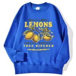 Lemons Leopard And Sun Prints Sweatshirts Winter Women Casual Loose Hoodies Fleece Warm Crewneck Pullover Comfortable Clothes