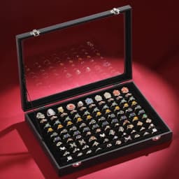 Rings/Earrings Organizer Tray with Clear Lid 10 Slots Velvet Drawer Insert Jewelry Storage box