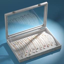 Ice Velvet 20 Hooks Jewelry Showcase for Necklaces Jewelry Box Stackable Glass Top Lockable