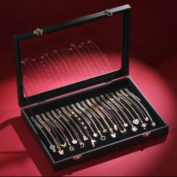 Ice Velvet 20 Hooks Jewelry Showcase for Necklaces Jewelry Box Stackable Glass Top Lockable