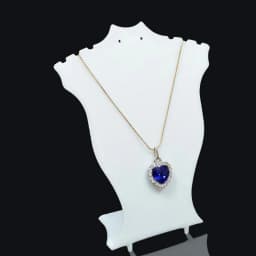 Plastic Mannequin Necklace Display Bust Stand Holder Jewellry Mannequin Bust Rack for Necklaces Pendant Earrings Display Shelf