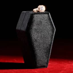 Portable Coffin Jewelry Box Lightweight Earrings Necklace Jewelry Display Box Gifts for Girls Women