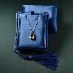 TAIMY Plush Velvet Necklace Jewelry Box Suede Tassel Jewelry Box Portable Travel Storage Jewelers Pendant Packaging Boxes