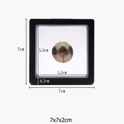 PE Film Brooch Coin Gems Jewelry Storage Box Dustproof Exhibition Decoration Suspended Floating Ring Earrings Display Rack Case