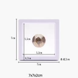 PE Film Brooch Coin Gems Jewelry Storage Box Dustproof Exhibition Decoration Suspended Floating Ring Earrings Display Rack Case