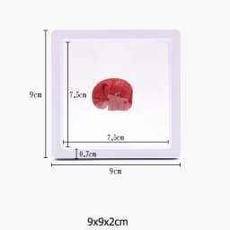 PE Film Brooch Coin Gems Jewelry Storage Box Dustproof Exhibition Decoration Suspended Floating Ring Earrings Display Rack Case