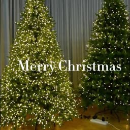 Stars Twinkle Christmas Tree Garland Room Decoration Xmas Fairy Lights Plug in Green Copper Wire String Lights 100m 200m 300m