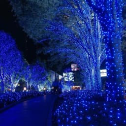 Waterproof 8 Modes 10M 20M 30M 50M Fairy Garden Light Outdoor Indoor String Light Garland for Party Wedding Christmas Decoration