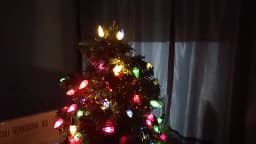 TIRVOSE Christmas Fairy Lights Outdoor 50/100 LED C6 Strawberry String Lights for Xmas Tree Garden Party Wedding New Year Decor