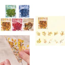 Sticker for Scrapbooking Adhesive Plant Theme 87HC