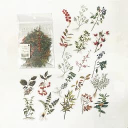 40pcs/bag Vintage Ginkgo leaves flowers PET sticker package DIY diary decoration sticker album scrapbooking