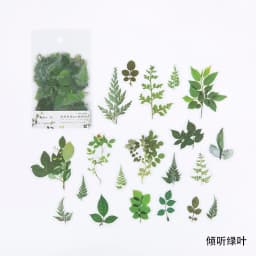 40pcs/bag Vintage Ginkgo leaves flowers PET sticker package DIY diary decoration sticker album scrapbooking