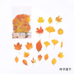 40pcs/bag Vintage Ginkgo leaves flowers PET sticker package DIY diary decoration sticker album scrapbooking