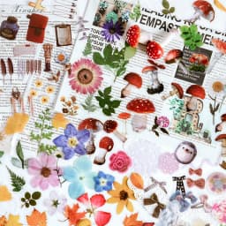 40pcs/bag Vintage Ginkgo leaves flowers PET sticker package DIY diary decoration sticker album scrapbooking
