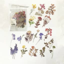 40pcs/bag Vintage Ginkgo leaves flowers PET sticker package DIY diary decoration sticker album scrapbooking